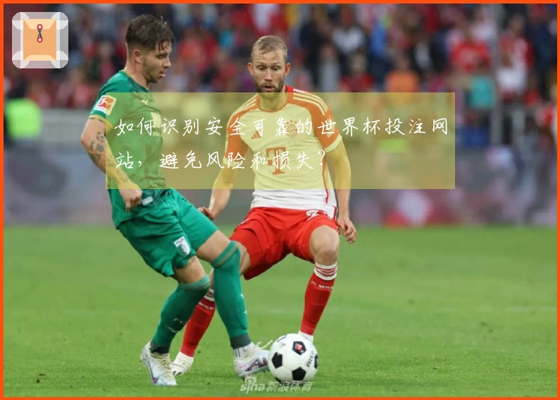 如何识别安全可靠的世界杯投注网站，避免风险和损失？