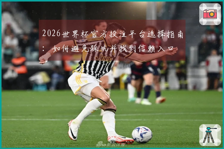 2026世界杯官方投注平台选择指南：如何避免踩坑并找到信赖入口